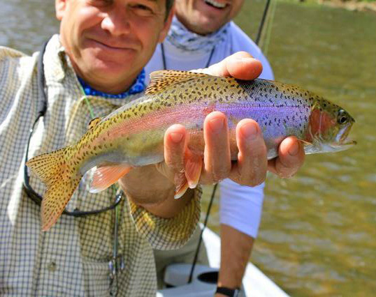 Fishing the Watauga