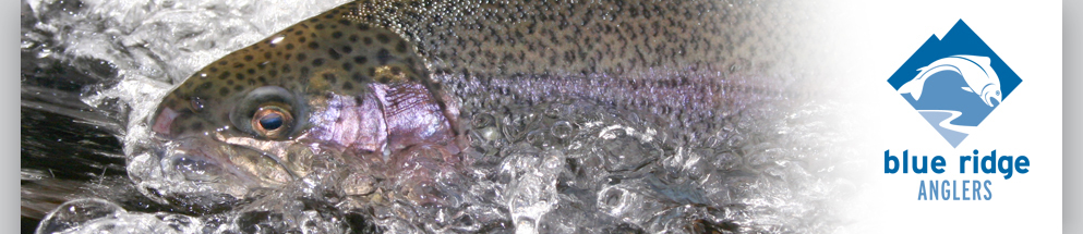 Carolina Fishing Guide Blue Ridge Anglers